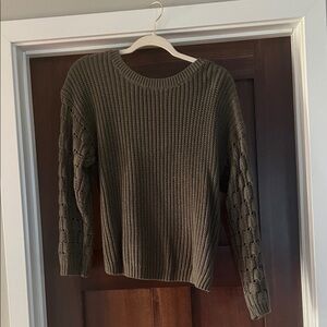 Express Olive Crew Neck Sweater
